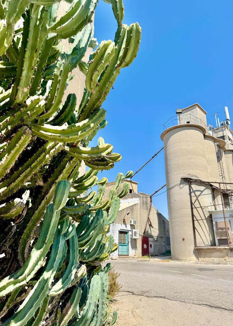 סדנת שזירת פרחים לעיצוב שולחן וואו | ביני בוקה + קרן שביט